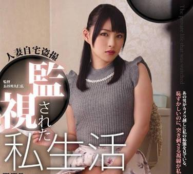 MEYD-783-C 今日は孕むまでナカに出して…